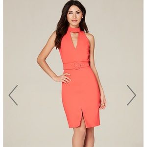 Bebe dress never used original tags